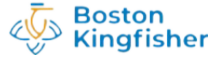 bostonkingfisher.com.ng